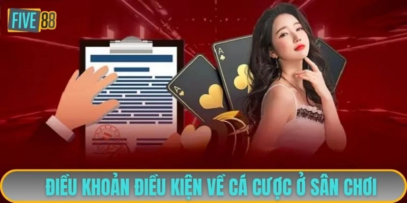 Điều khoản điều kiện về cá cược ở sân chơi