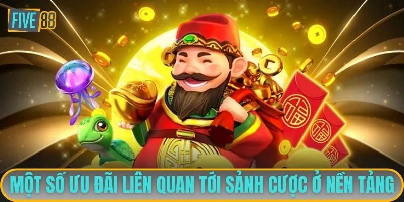 Một số ưu đãi liên quan tới sảnh cược ở nền tảng